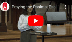 Praying the Psalms Psalm 11-6