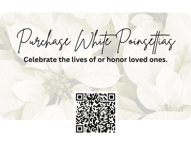 Honor or celebrate the life of a loved one this Advent with white poinsettias.